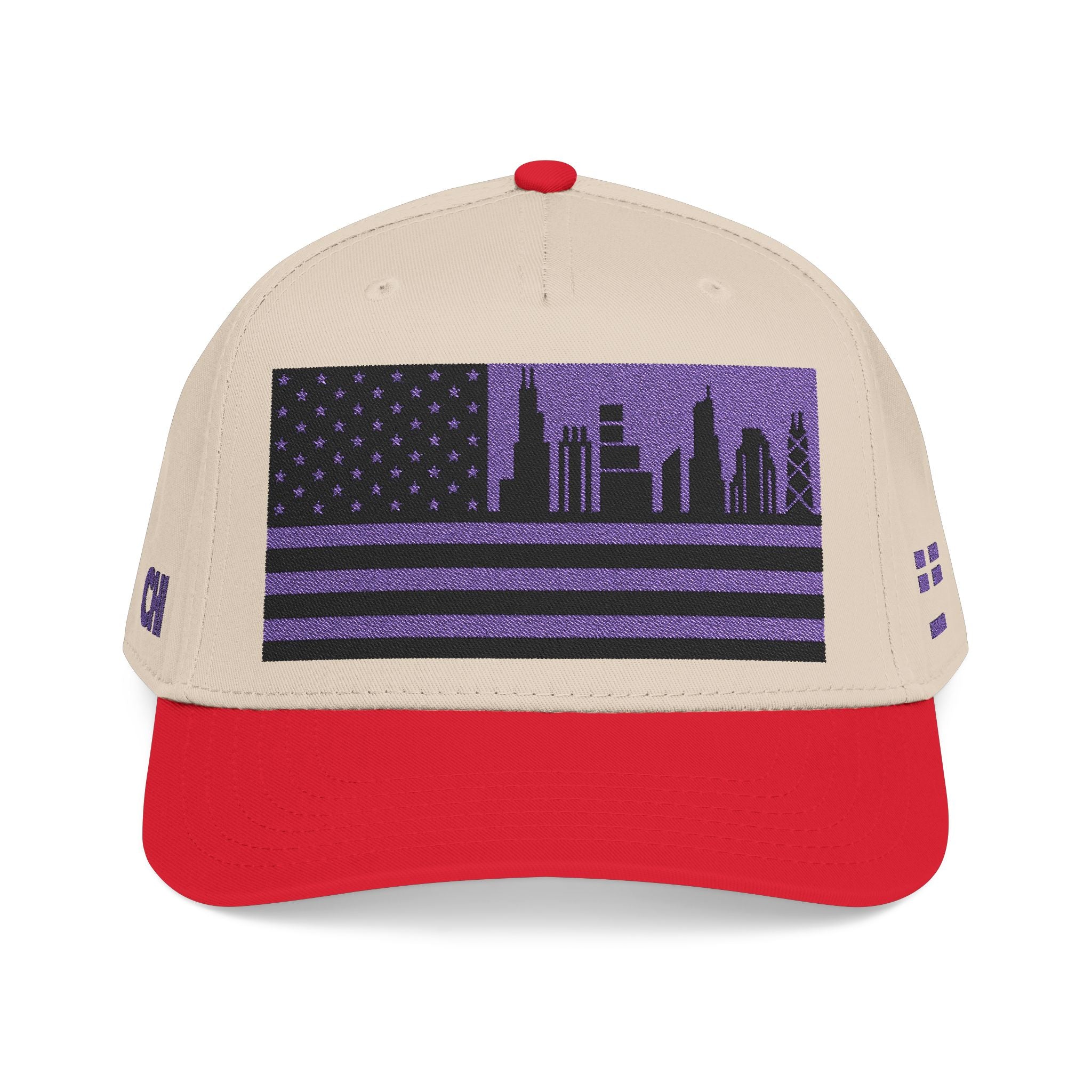 Chicago City Skyline Cap - Purple/Black Flag
